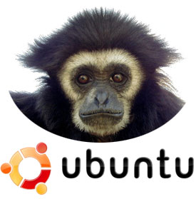 No se puede mostrar la imagen “http://questchile.files.wordpress.com/2007/06/ubuntu-gutsy-gibbon.jpg” porque contiene errores.